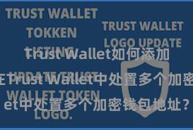 Trust Wallet如何添加代币 如安在Trust Wallet中处置多个加密钱包地址？